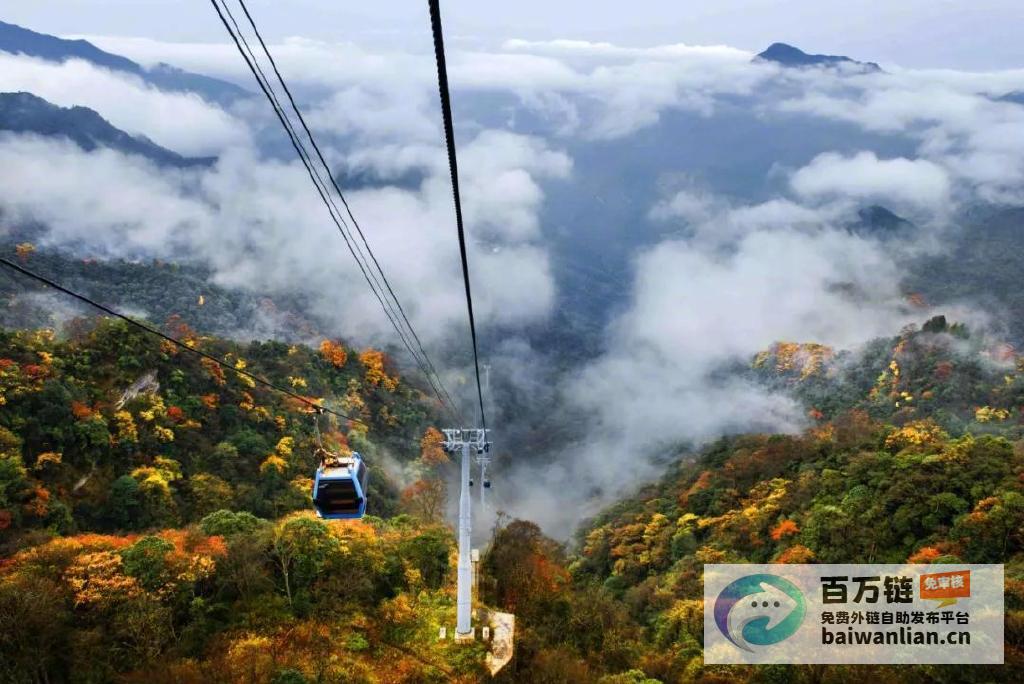 重庆金佛山雪霁云海美不胜收 (重庆金佛山雪景朋友圈)